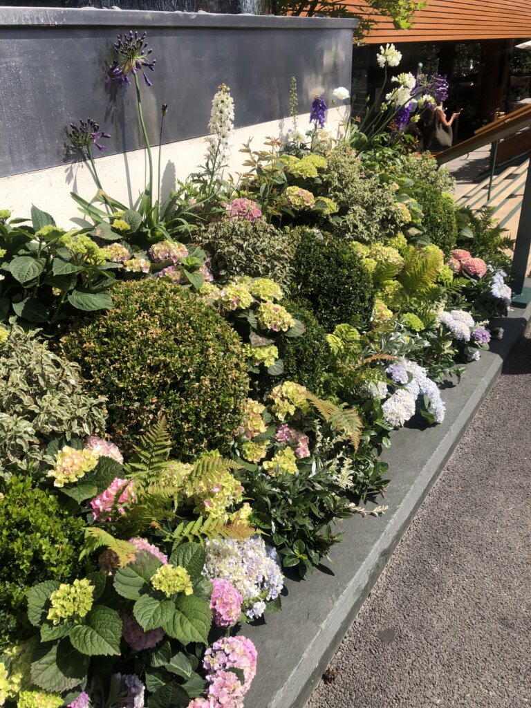 bed of flowers at Wimbeldon Tennis