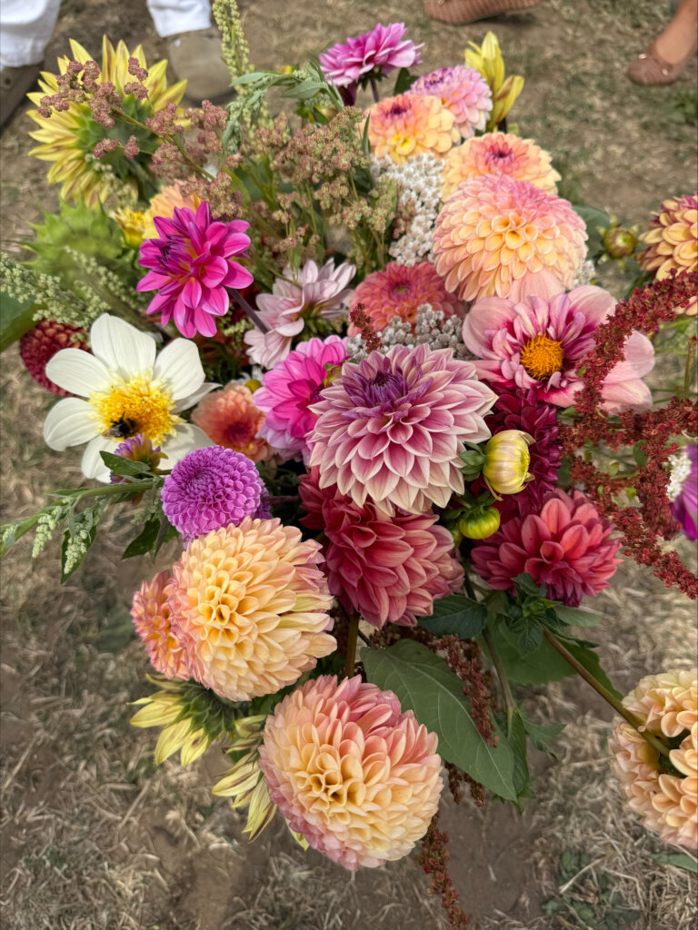 Bunch of bright coloured flowers including dahlias
