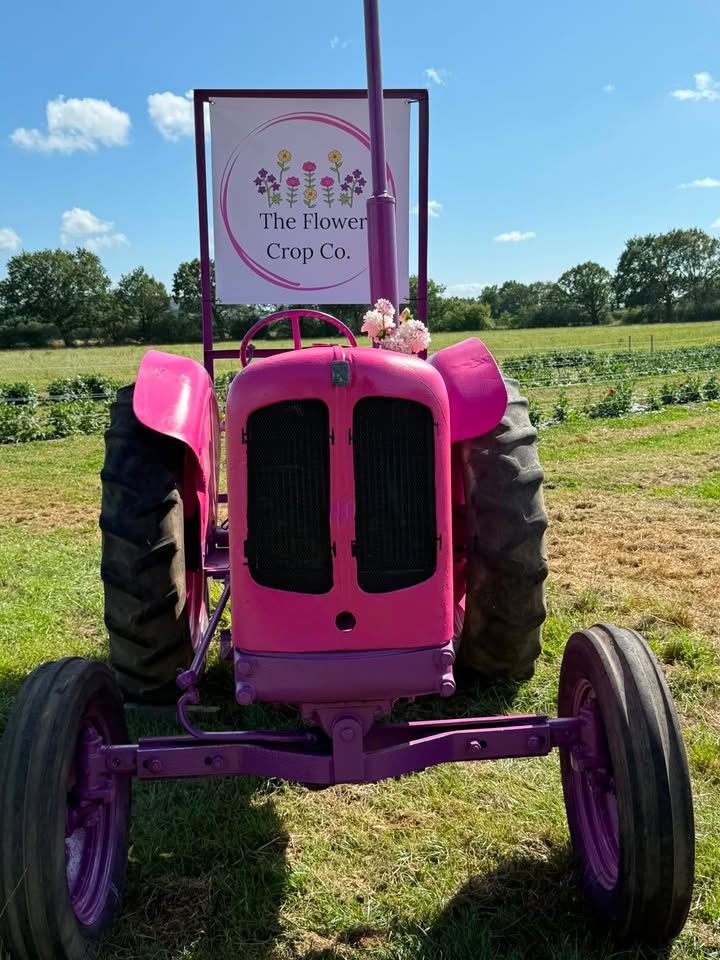 a pink tractor in a field